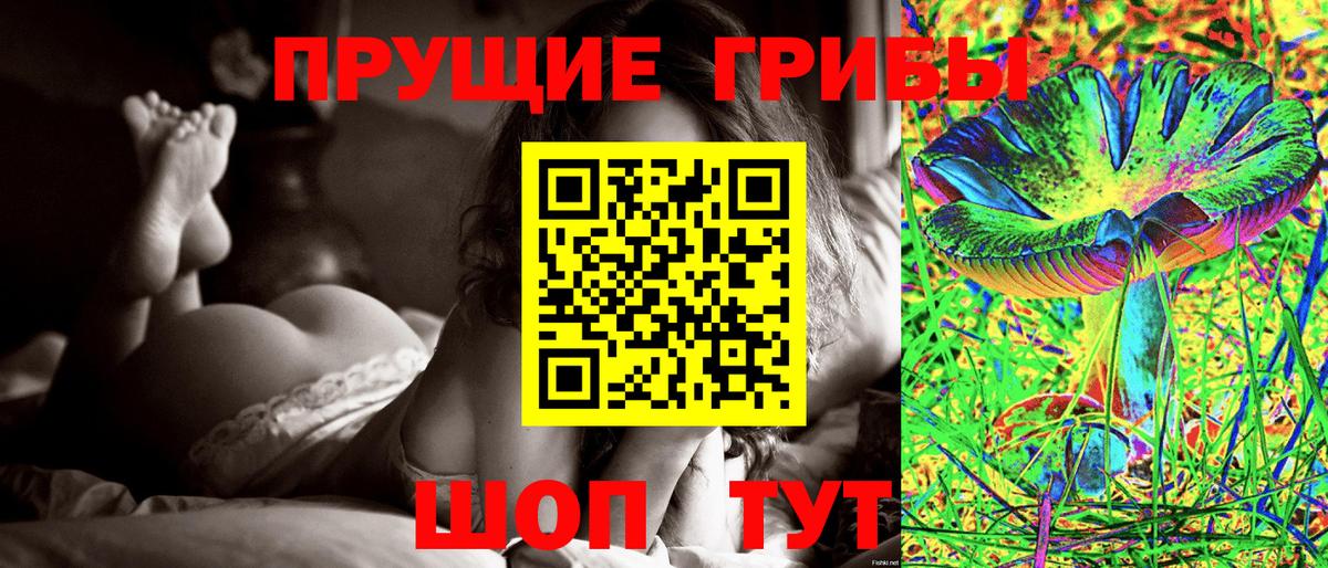 Псилоцибиновые грибы мухоморы Ногинск