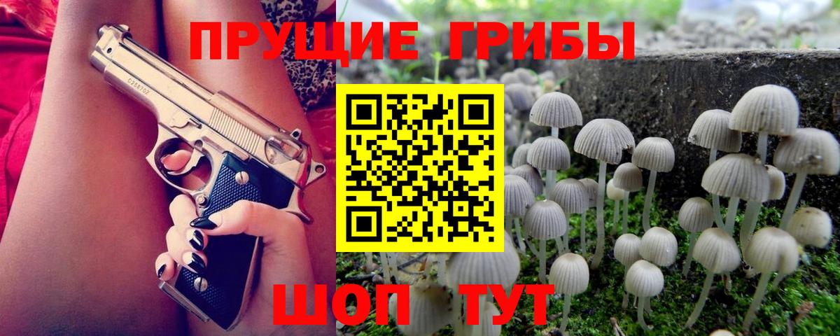 Ногинск  Псилоцибиновые грибы Psilocybine cubensis  Псилоцибиновые грибы MAGIC MUSHROOMS  Вход с VPN 