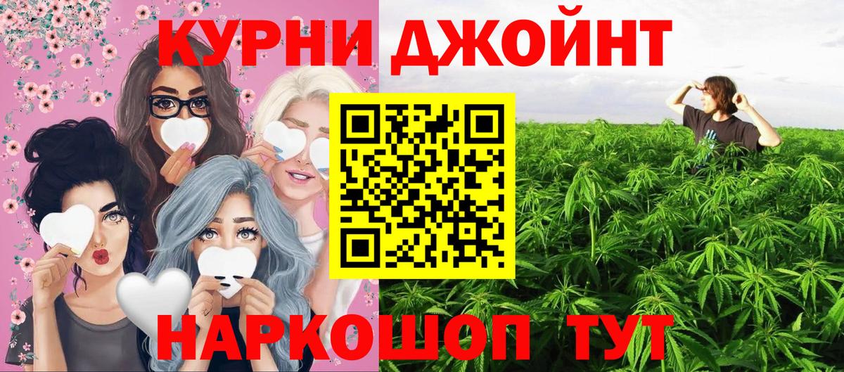 Конопля гибрид Ногинск